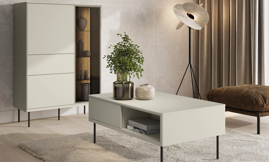 vitryna-3d1sh-epiro-svitlo-sira (6)-915x550